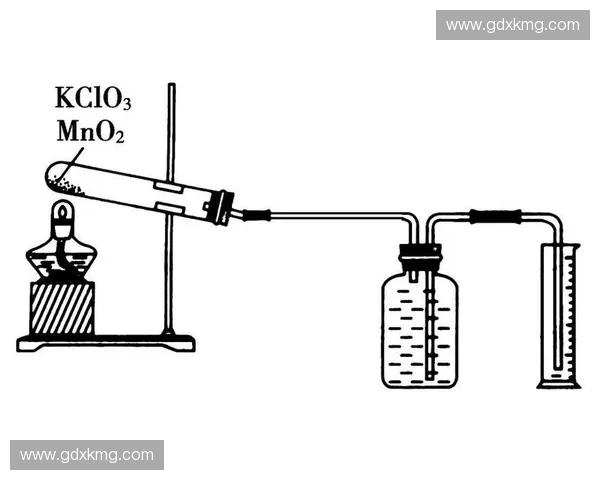 全方位掌握奥运乒乓球赛事最新完整赛程规划深度权威解读版